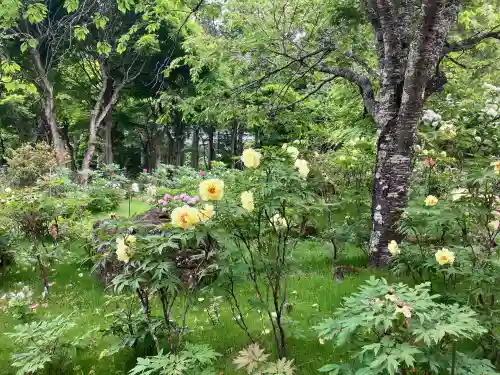 妙雲寺(栃木県)