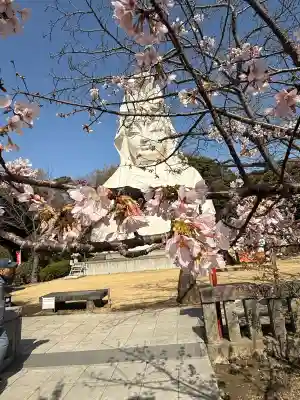 大船観音寺の{uncategorized: "未分類", other: "その他", undefined: "問題あり", building: "その他建物", grave: "お墓", sacred_gate: "鳥居", guardian: "狛犬", statue: "像", buddha: "仏像", history: "歴史", nature: "自然", garden: "庭園", animal: "動物", pagoda: "塔", temizu: "手水舎", mountain_gate: "山門・神門", sanctuary: "本殿・本堂", subordinate: "末社・摂社", art: "芸術", scenery: "景色", jizo: "地蔵", ema: "絵馬", goshuin: "御朱印", omikuji: "おみくじ", items: "授与品その他", amulet: "お守り", goshuincho: "御朱印帳", eats: "食事", festival: "お祭り", votive_dance: "神楽", shichigosan: "七五三参", wedding: "結婚式", experience: "体験その他", initially: "初詣", around: "周辺", anti_infection: "感染症対策"}