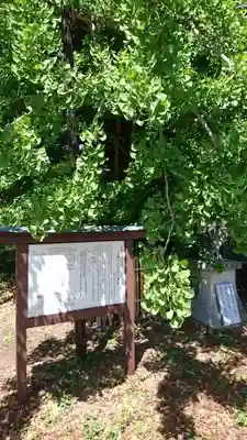 上澤寺のその他建物