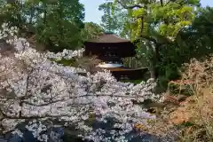 石山寺の建物その他