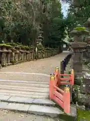 春日大社の建物その他