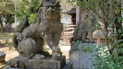 大歳神社の狛犬