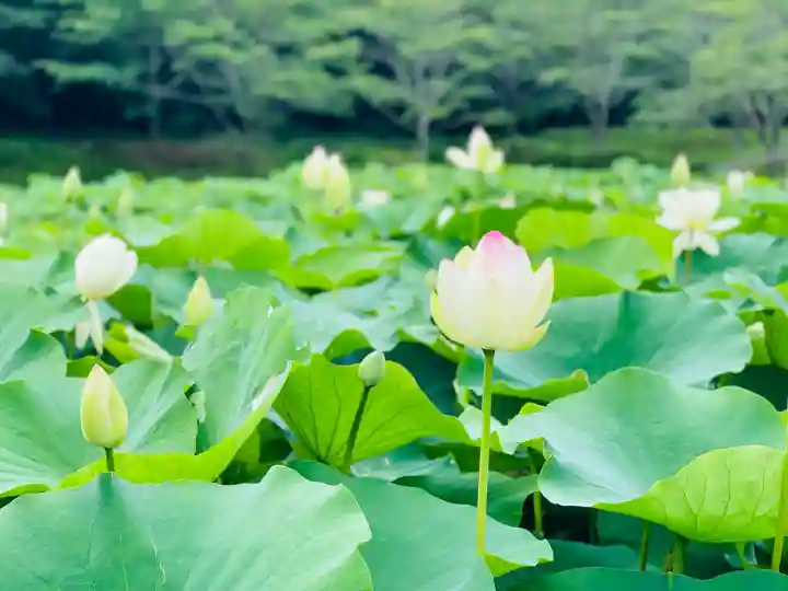 常信寺(三重県)