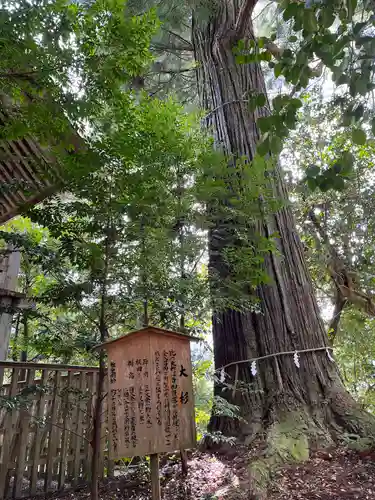 須佐神社の自然