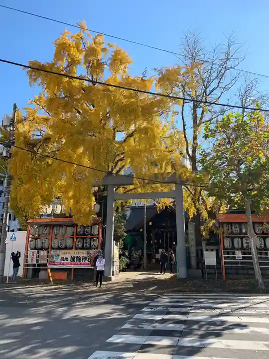 波除神社(波除稲荷神社)の自然