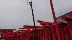 小泉稲荷神社の鳥居