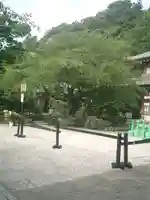 長谷寺のその他建物