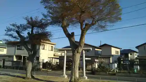 神社(名称不明)の自然