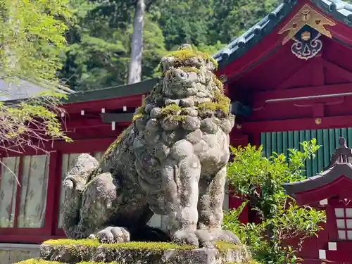 箱根神社の狛犬