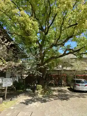 温泉山 安楽寺(四国霊場第六番札所)(徳島県)