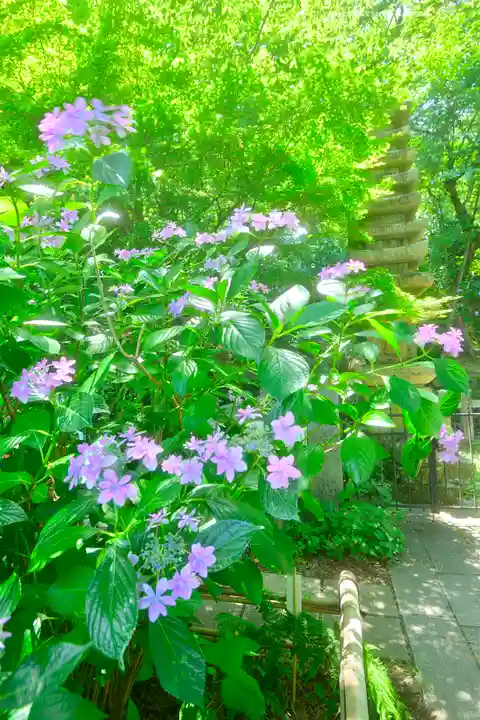 高幡不動尊 金剛寺(東京都)