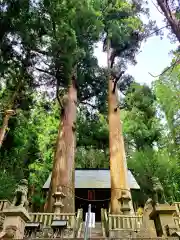 恵那神社の本殿