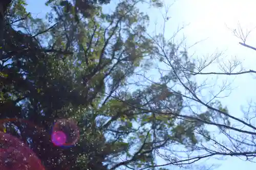 醍醐寺(京都府)