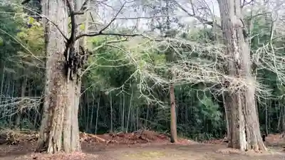 葦不合神社(千葉県)