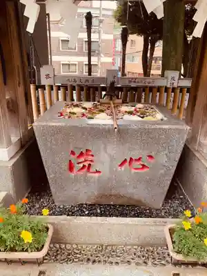 高円寺氷川神社(東京都)