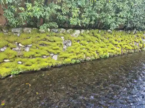 藤木社（賀茂別雷神社末社）(京都府)