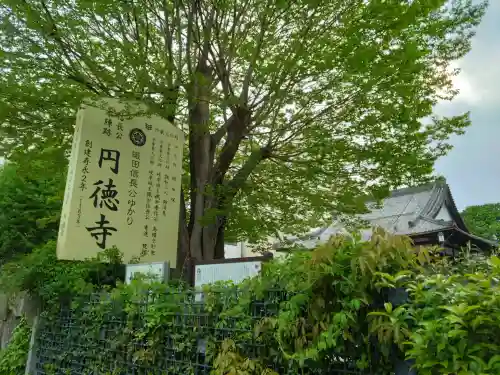 円徳寺の{uncategorized: "未分類", other: "その他", undefined: "問題あり", building: "その他建物", grave: "お墓", sacred_gate: "鳥居", guardian: "狛犬", statue: "像", buddha: "仏像", history: "歴史", nature: "自然", garden: "庭園", animal: "動物", pagoda: "塔", temizu: "手水舎", mountain_gate: "山門・神門", sanctuary: "本殿・本堂", subordinate: "末社・摂社", art: "芸術", scenery: "景色", jizo: "地蔵", ema: "絵馬", goshuin: "御朱印", omikuji: "おみくじ", items: "授与品その他", amulet: "お守り", goshuincho: "御朱印帳", eats: "食事", festival: "お祭り", votive_dance: "神楽", shichigosan: "七五三参", wedding: "結婚式", experience: "体験その他", initially: "初詣", around: "周辺", anti_infection: "感染症対策"}