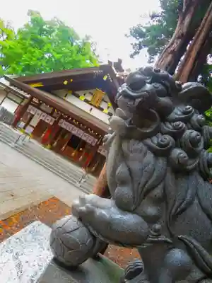 新琴似神社(北海道)