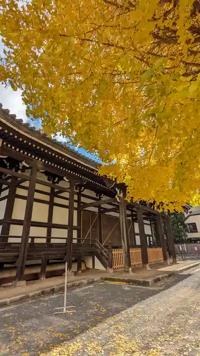 本法寺(京都府)