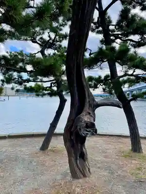 琵琶島神社(神奈川県)