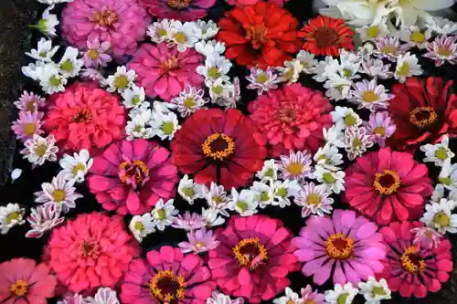 大鏑神社の手水舎