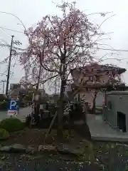 清浄院(群馬県)