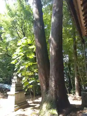 白山神社(福井県)