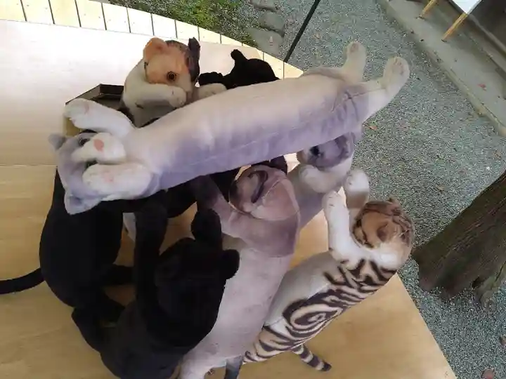 鎌倉宮のその他建物