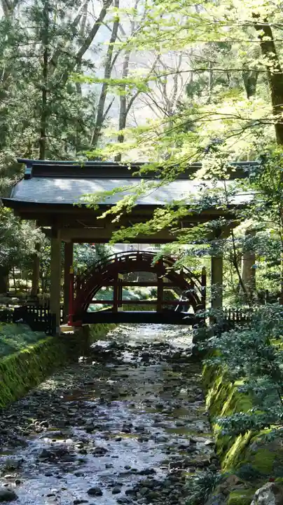 彌彦神社(新潟県)