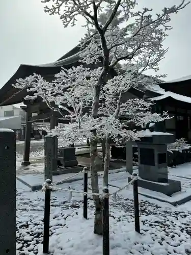 石鎚神社 中宮 成就社(愛媛県)