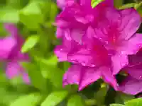 西方山極楽寺(岐阜県)