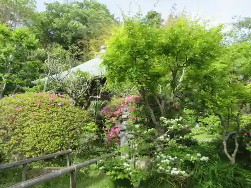 浄光明寺(神奈川県)