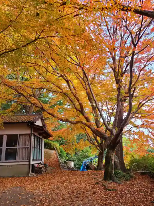 萬寿寺(お不動さん)の自然