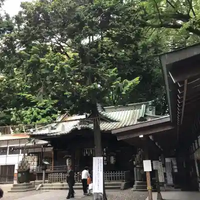 調神社の本殿・本堂