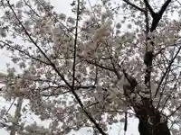 日吉神社(京都府)