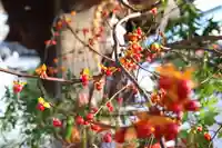 三津厳島神社(愛媛県)