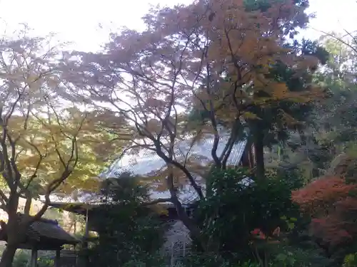 妙本寺のその他建物