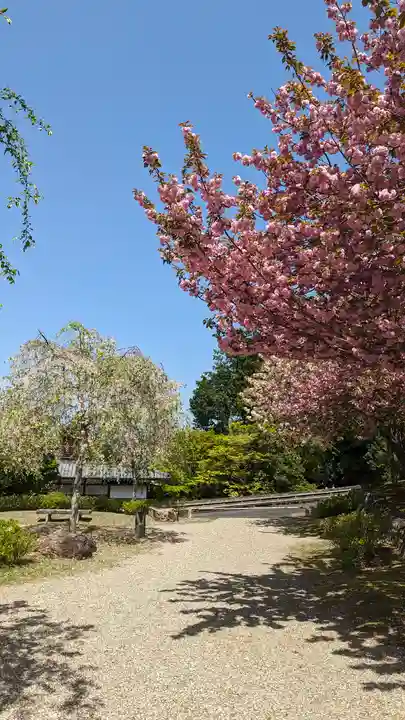 圓光寺(京都府)