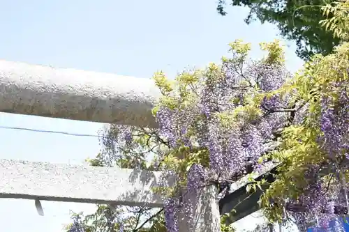 國領神社の自然
