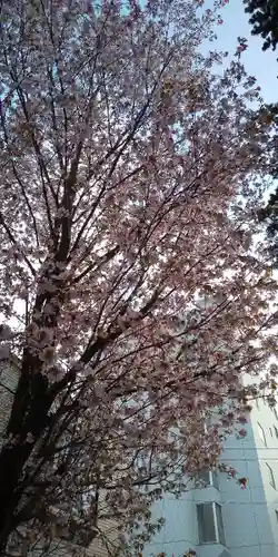 上川神社頓宮の自然