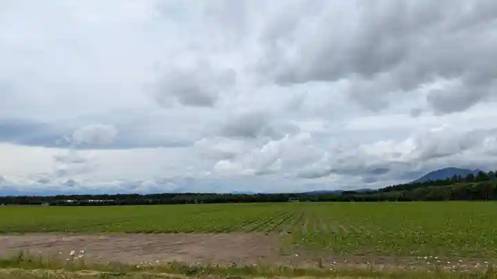 第八部落稲荷神社の景色