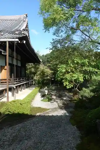 妙満寺の庭園