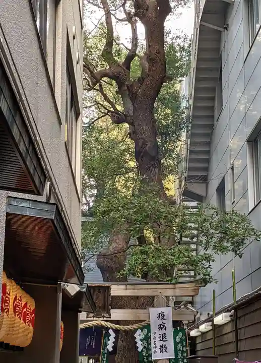 少彦名神社のその他建物