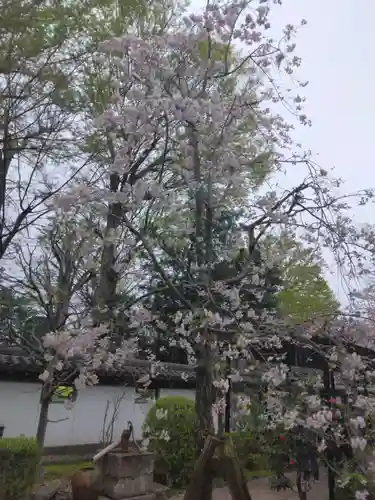 松月院(東京都)