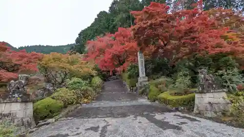 善峯寺(京都府)