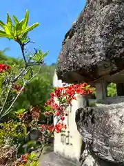 日吉神社(長野県)