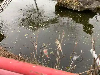 心岩寺(神奈川県)