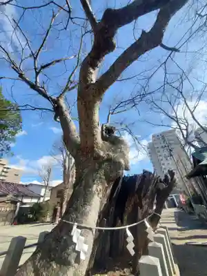阿邪訶根神社(福島県)