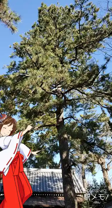 神明社(千葉県)