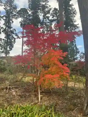 八幡宮(茨城県)